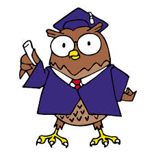 school owl